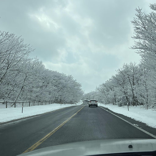 My Life Notes – Draft